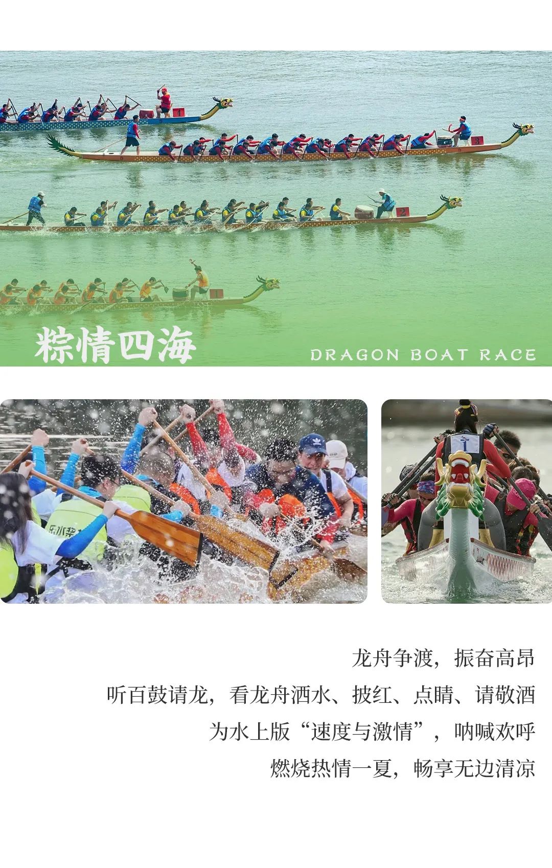 杨邦胜设计集团-端午节